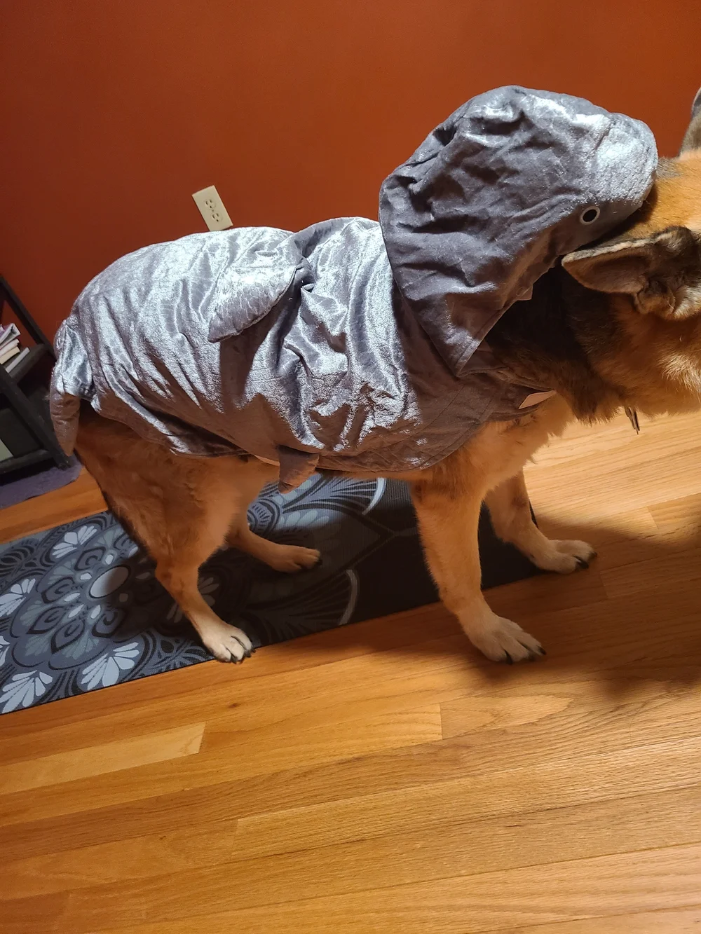 N/A shark costume